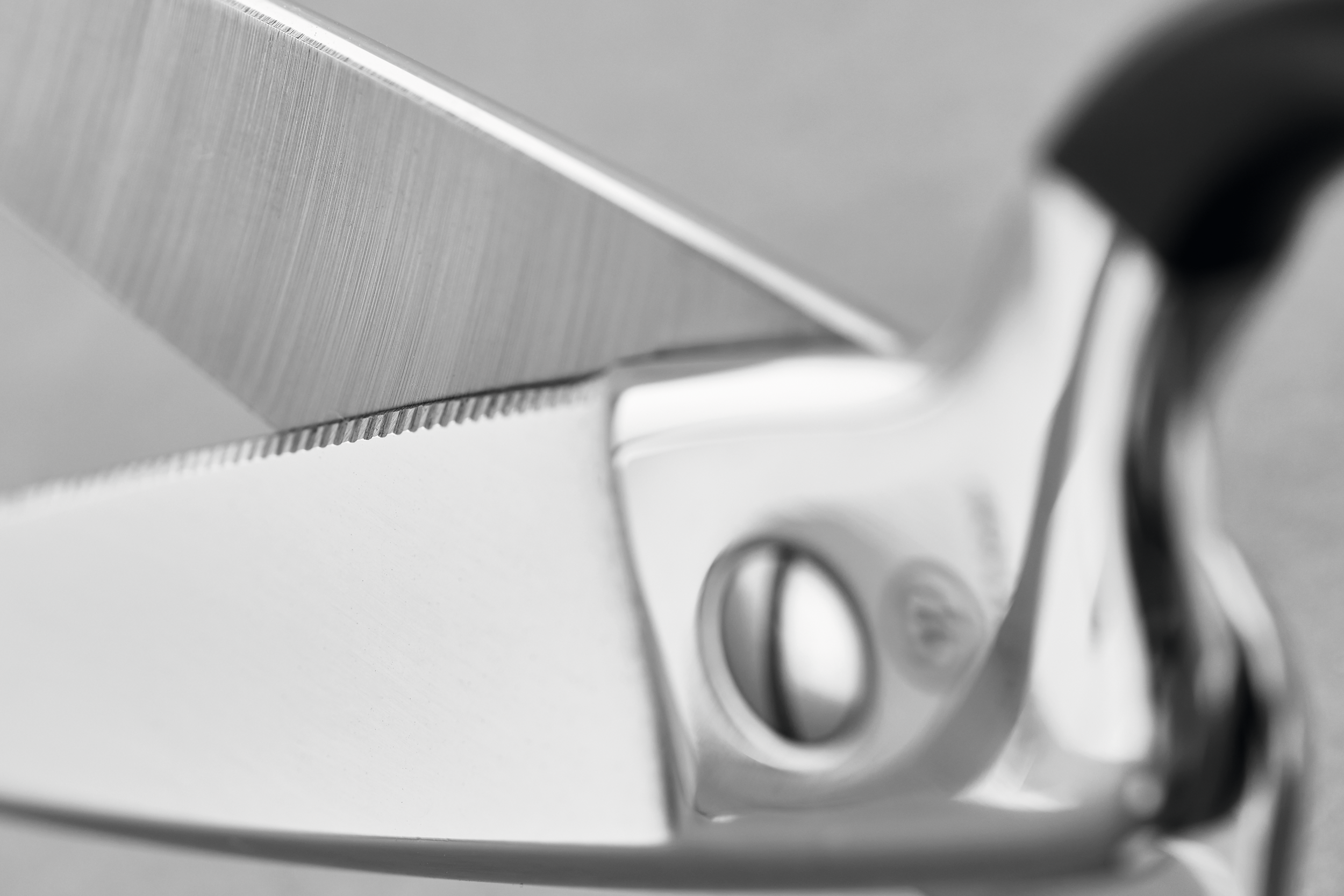 w-sthof-k-chenschere-edelstahl-schwarz-kr-uter-fisch image 4
