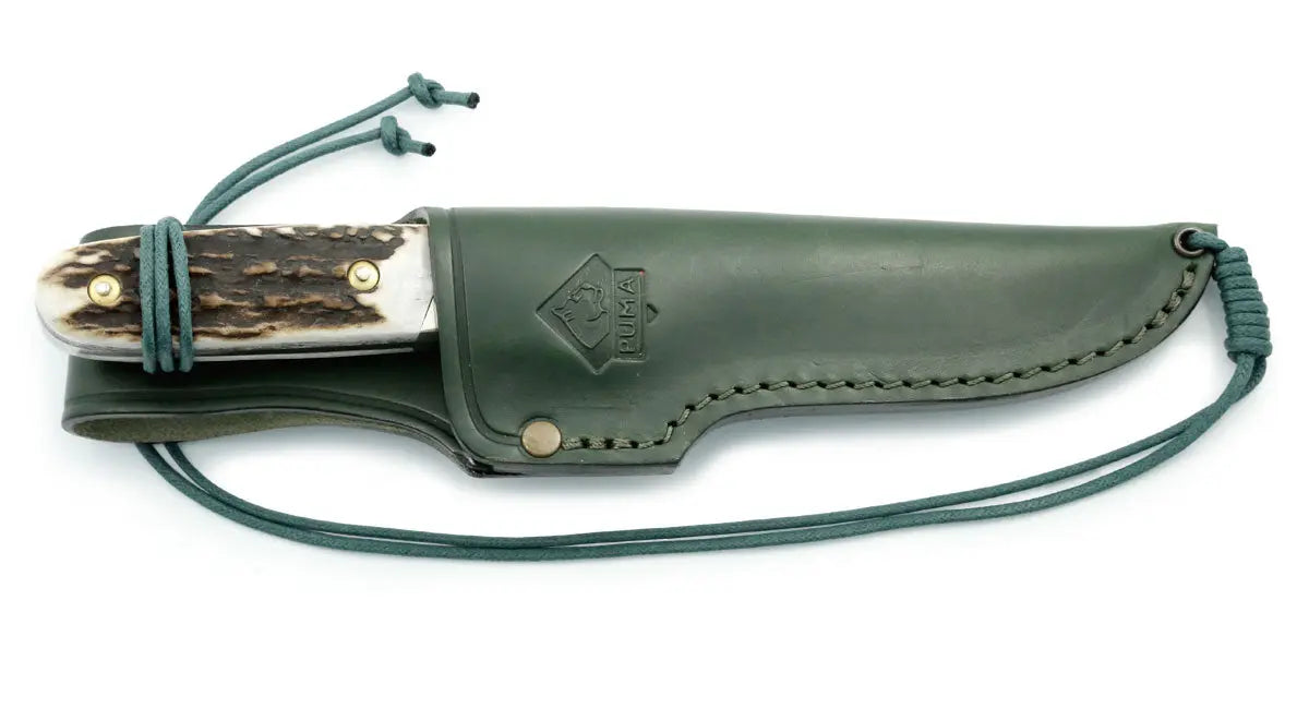 puma-faun-stag-jagdmesser-hirschhorn-sandvik-rostfrei image 3