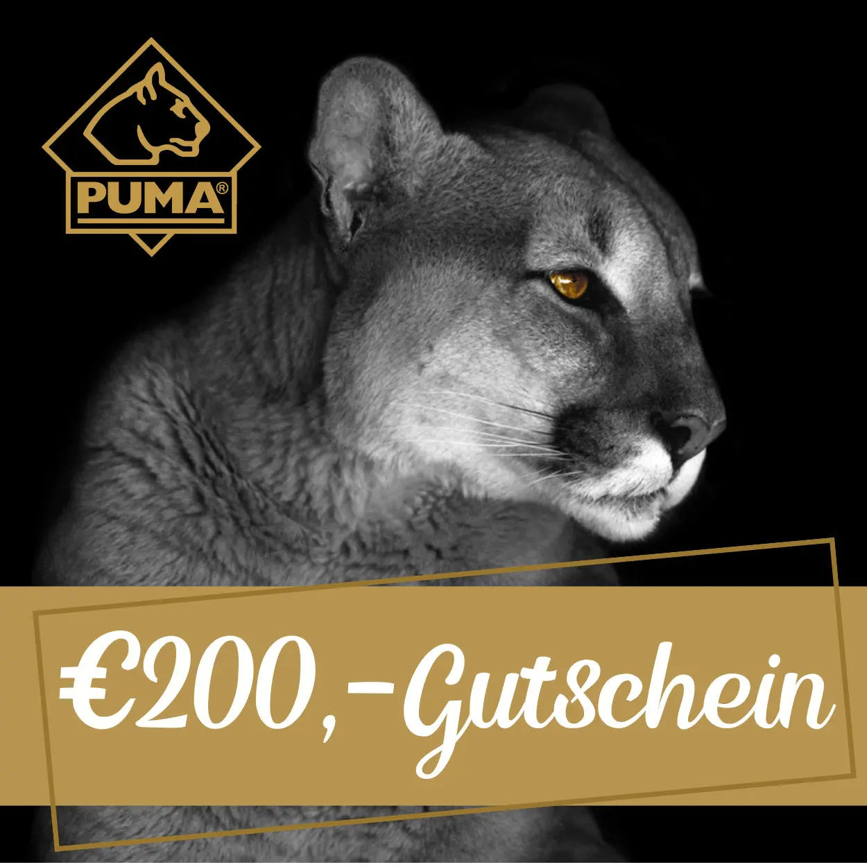 puma-geschenkgutschein-10-digital-per-e-mail-gutschein image 6