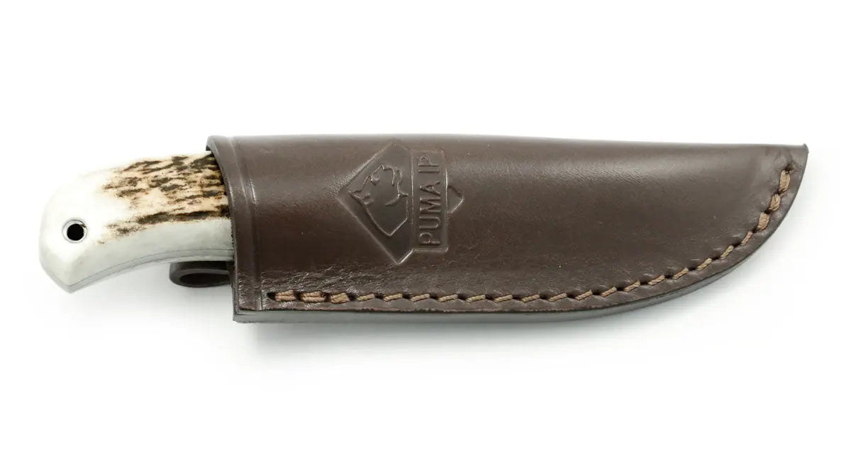 puma-ip-ela-stag-jagdmesser-hirschhorn-klein image 6