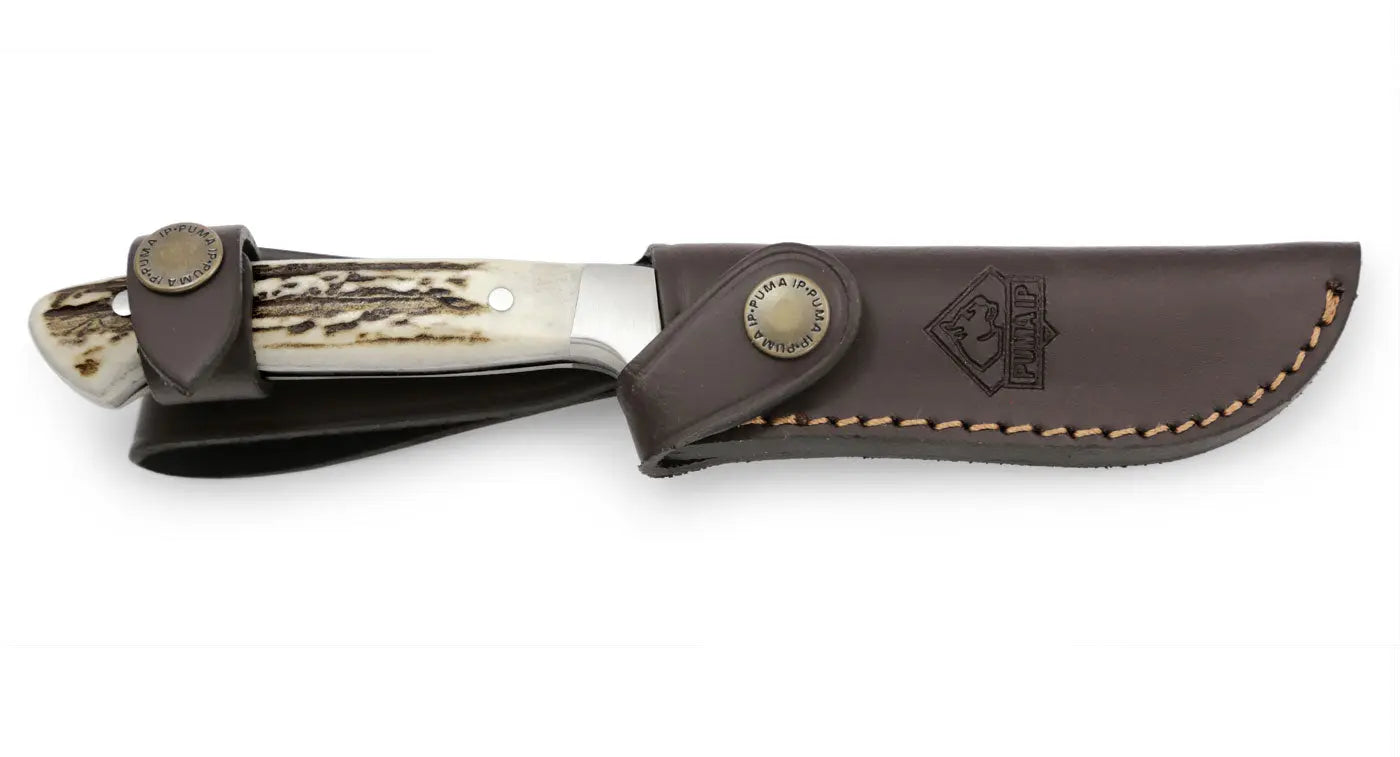 puma-ip-pal-240-jagdmesser-hirschhorn-lederscheide image 6