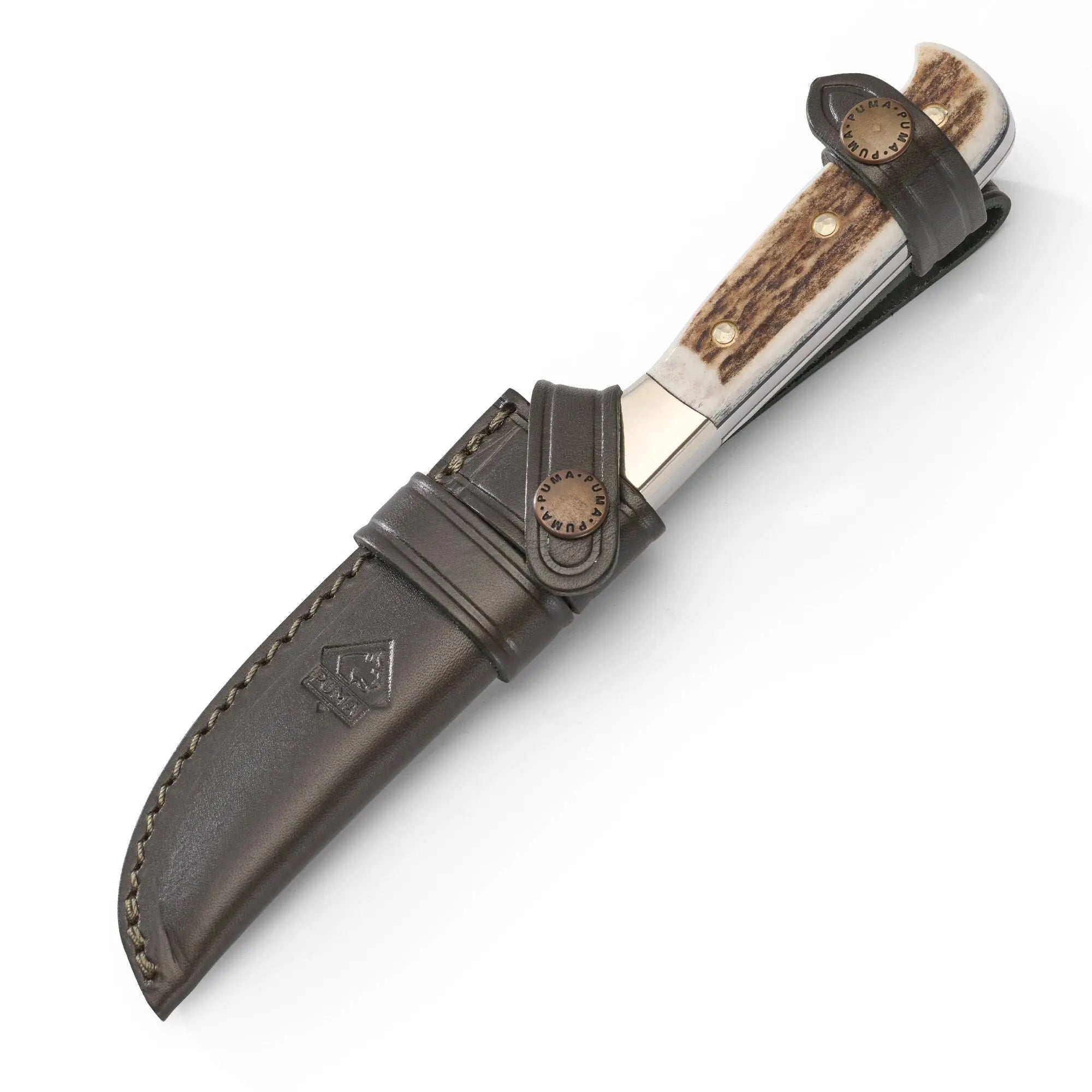 puma-jagdnicker-jagdmesser-hirschhorn-nach-frevert-123mm image 3