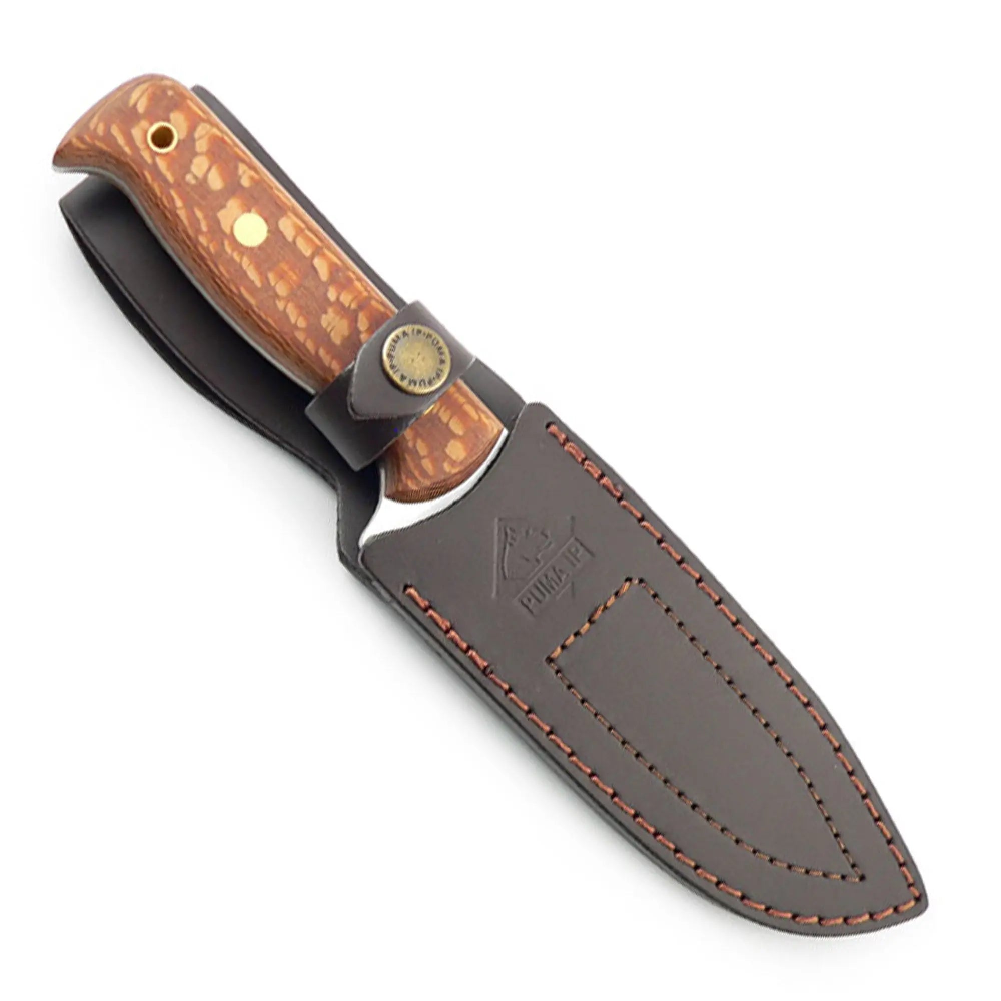 puma-ip-outdoor-messer-palmenholz-134mm-n695-lederscheide image 4