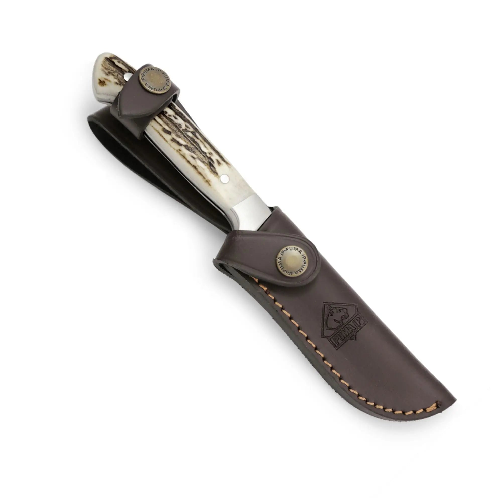 puma-ip-pal-240-jagdmesser-hirschhorn-lederscheide image 3