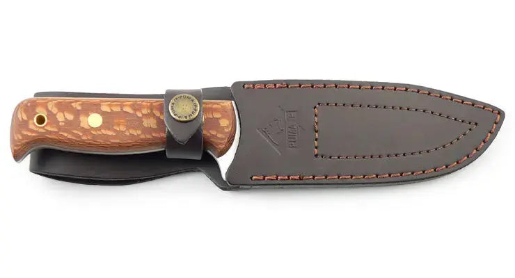 puma-ip-outdoor-messer-palmenholz-134mm-n695-lederscheide image 7