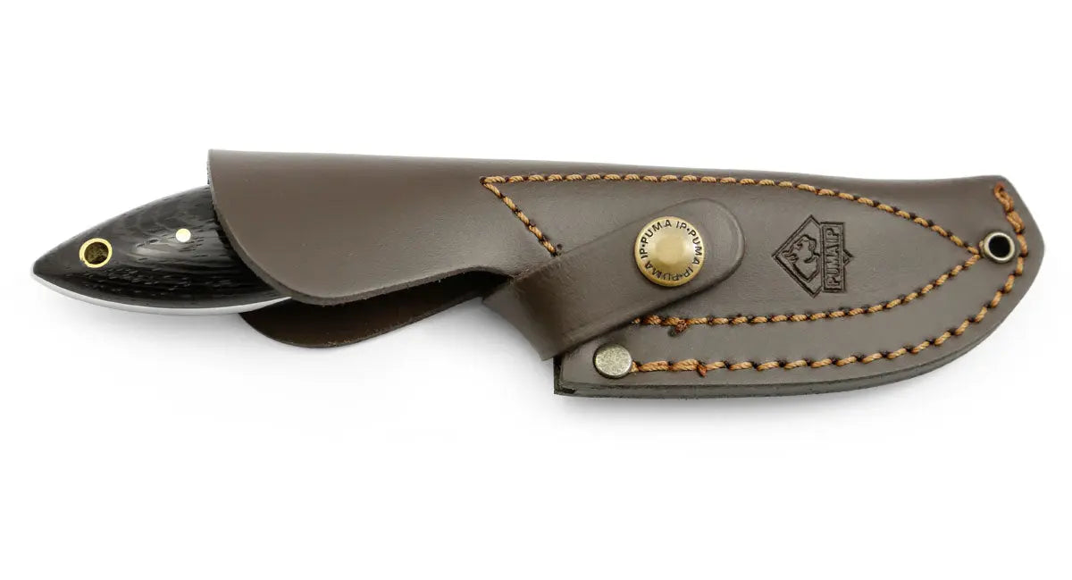 puma-ip-farkas-feststehendes-messer-wengeholz image 2