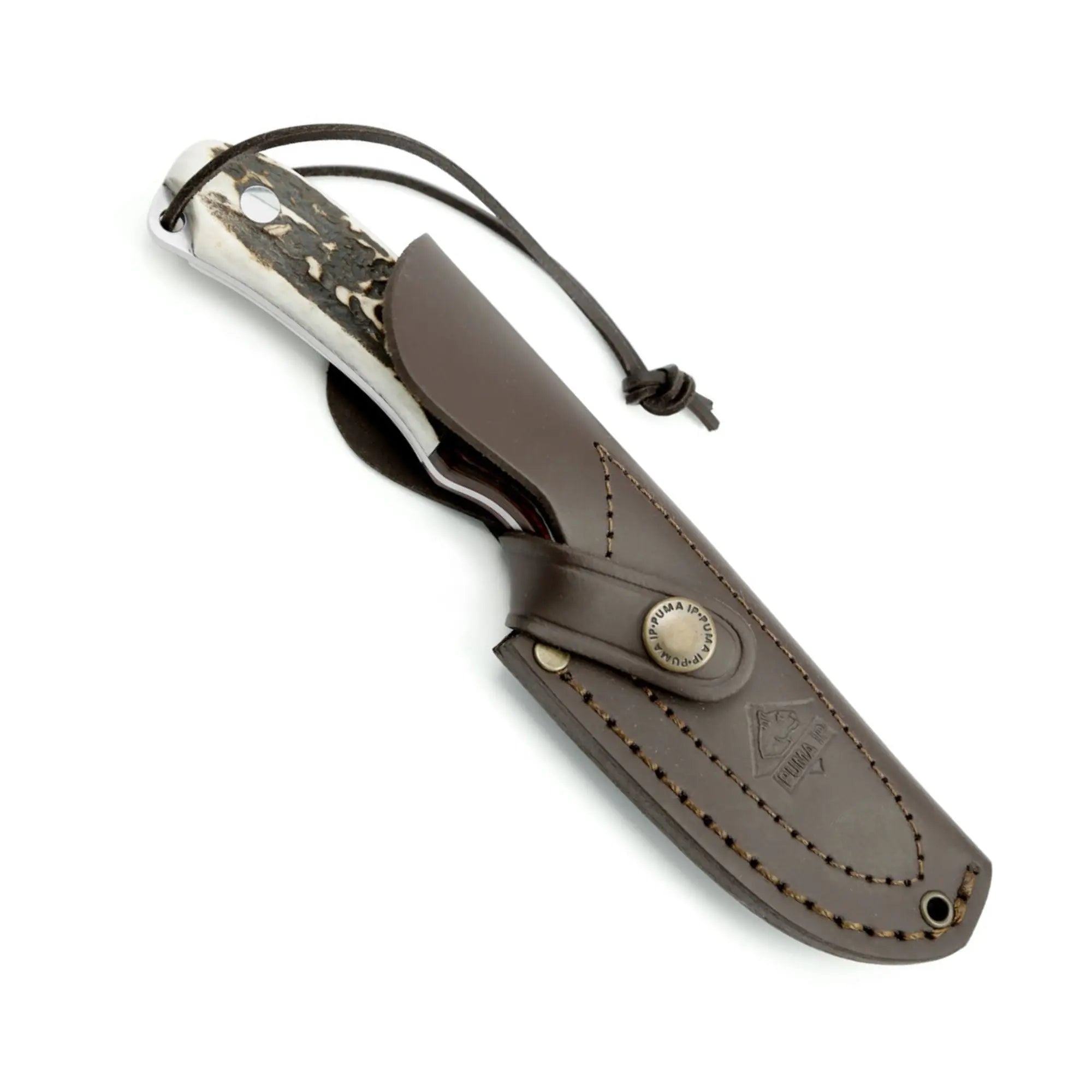 puma-ip-almeria-jagdmesser-hirschhorn-lederscheide image 3
