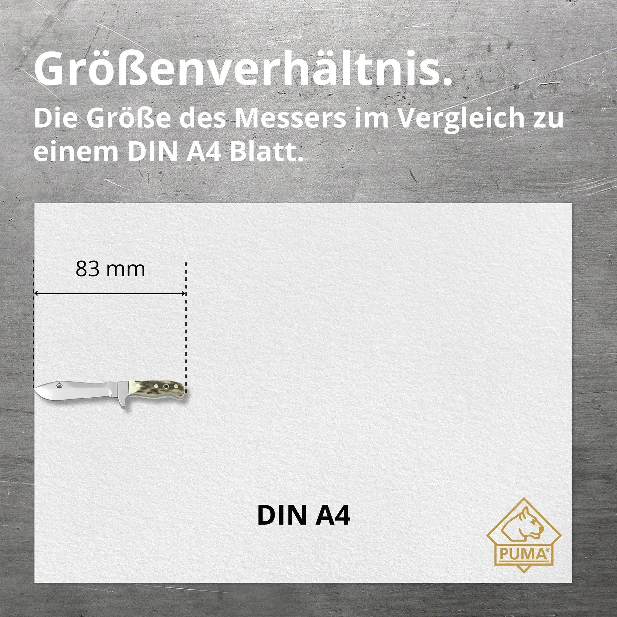 puma-mini-white-hunter-miniaturmesser-hirschhorn-geschenkbox image 4