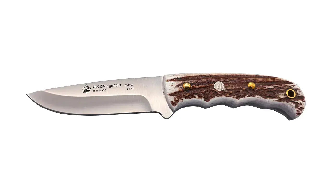 puma-ip-accipiter-gentilis-jagdmesser-hirschhorn-limitiert image 4
