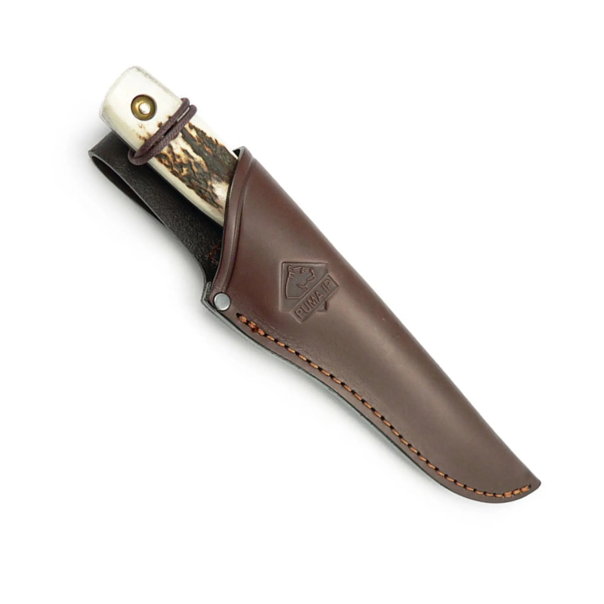 puma-ip-damwild-jagdmesser-hirschhorn-stag-12-3-cm image 3