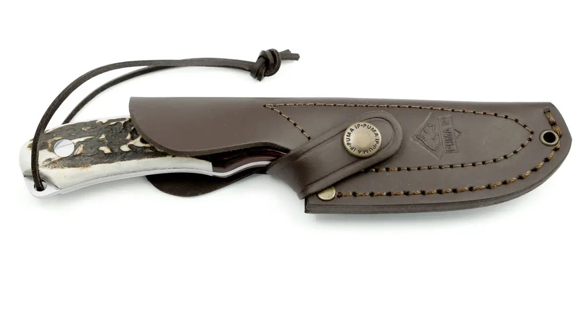 puma-ip-almeria-jagdmesser-hirschhorn-lederscheide image 6