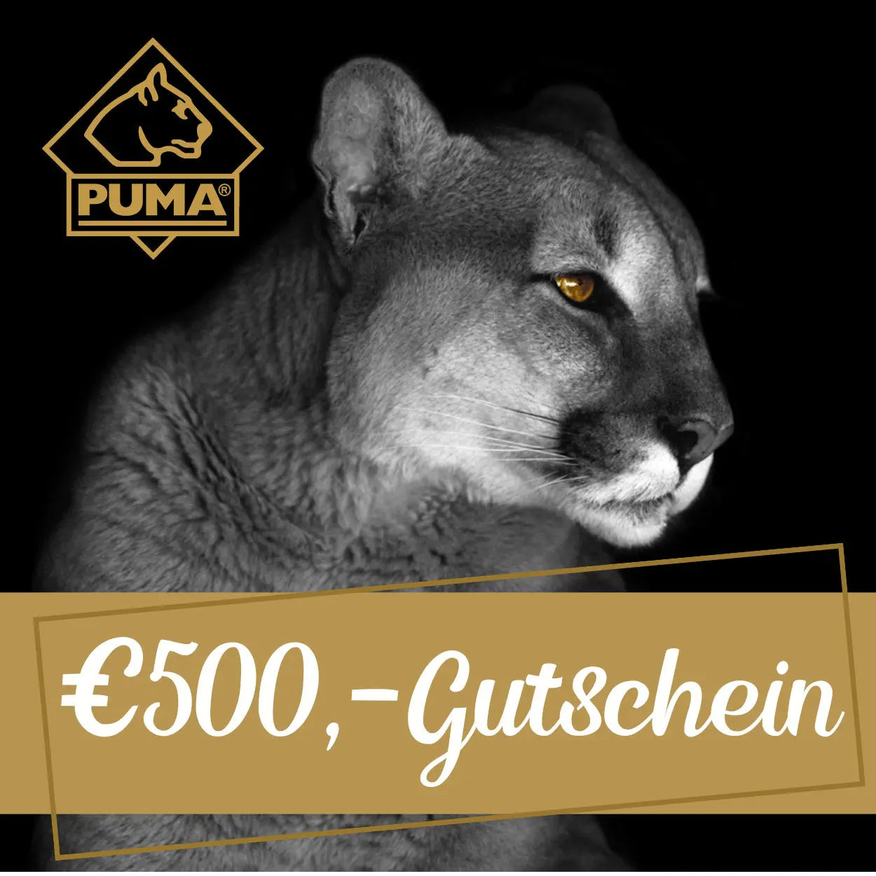 puma-geschenkgutschein-10-digital-per-e-mail-gutschein image 8