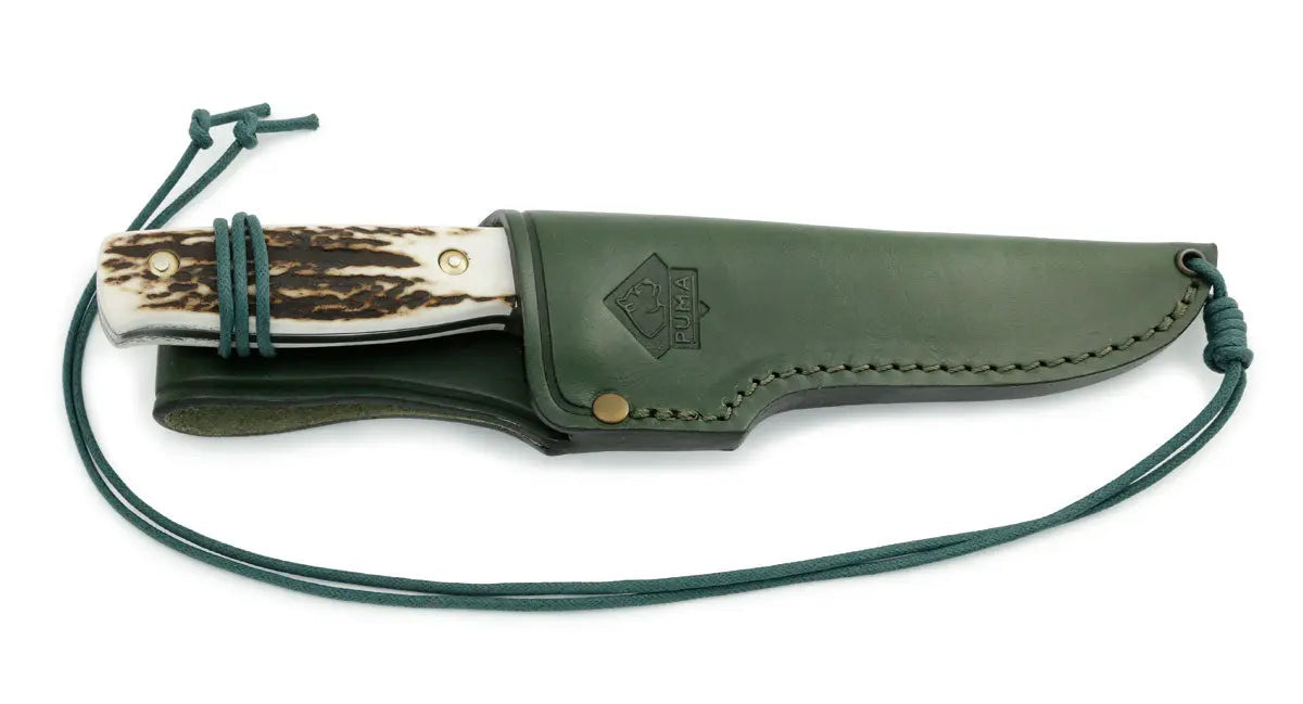 puma-merlin-k-jagdmesser-hirschhorn-jagdmotiv-teinge-tzt image 4