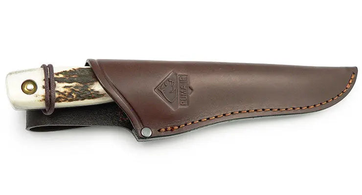 puma-ip-damwild-jagdmesser-hirschhorn-stag-12-3-cm image 6