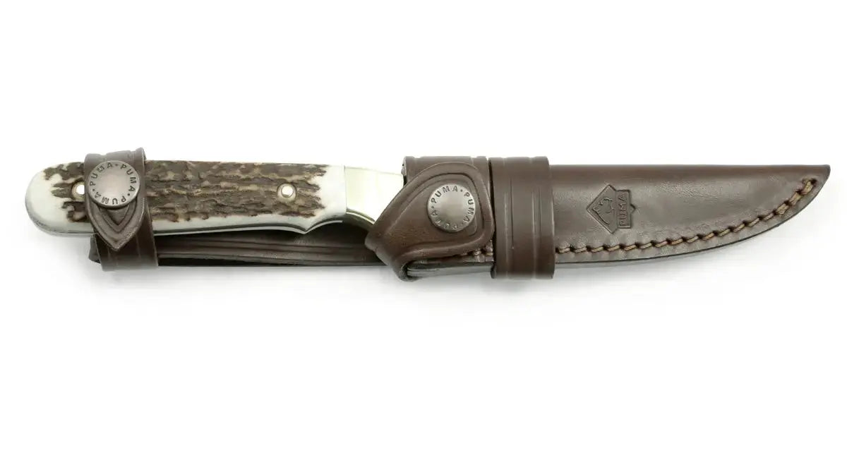 puma-jubil-umsmesser-250-damast-jagdnicker-limitiert image 3
