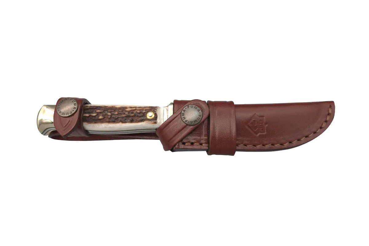 puma-jagdnicker-faos-edition-rehwild-jagdmesser image 4