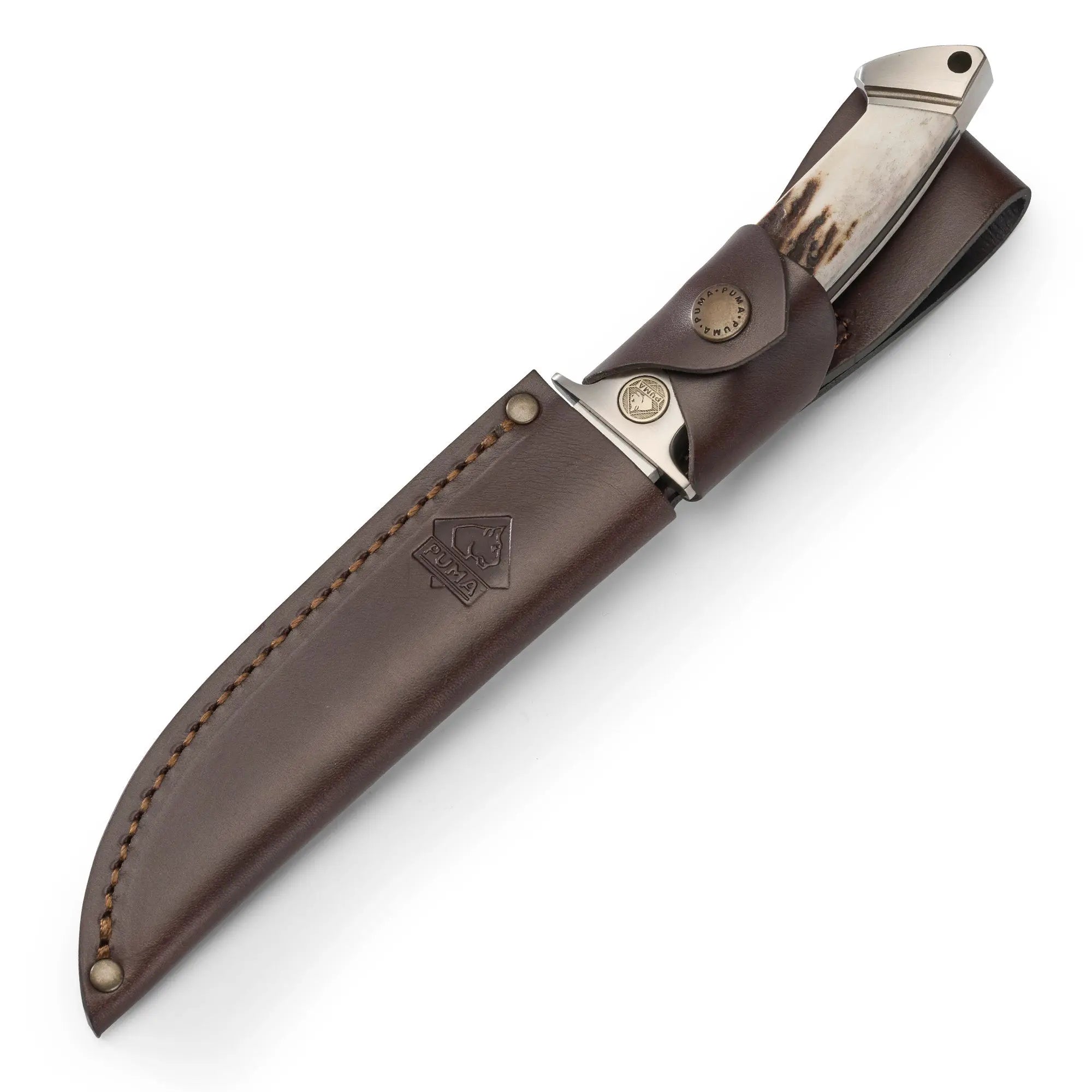 puma-cougar-hirschhorn-jagdmesser-feststehend-sammlerst-ck image 3