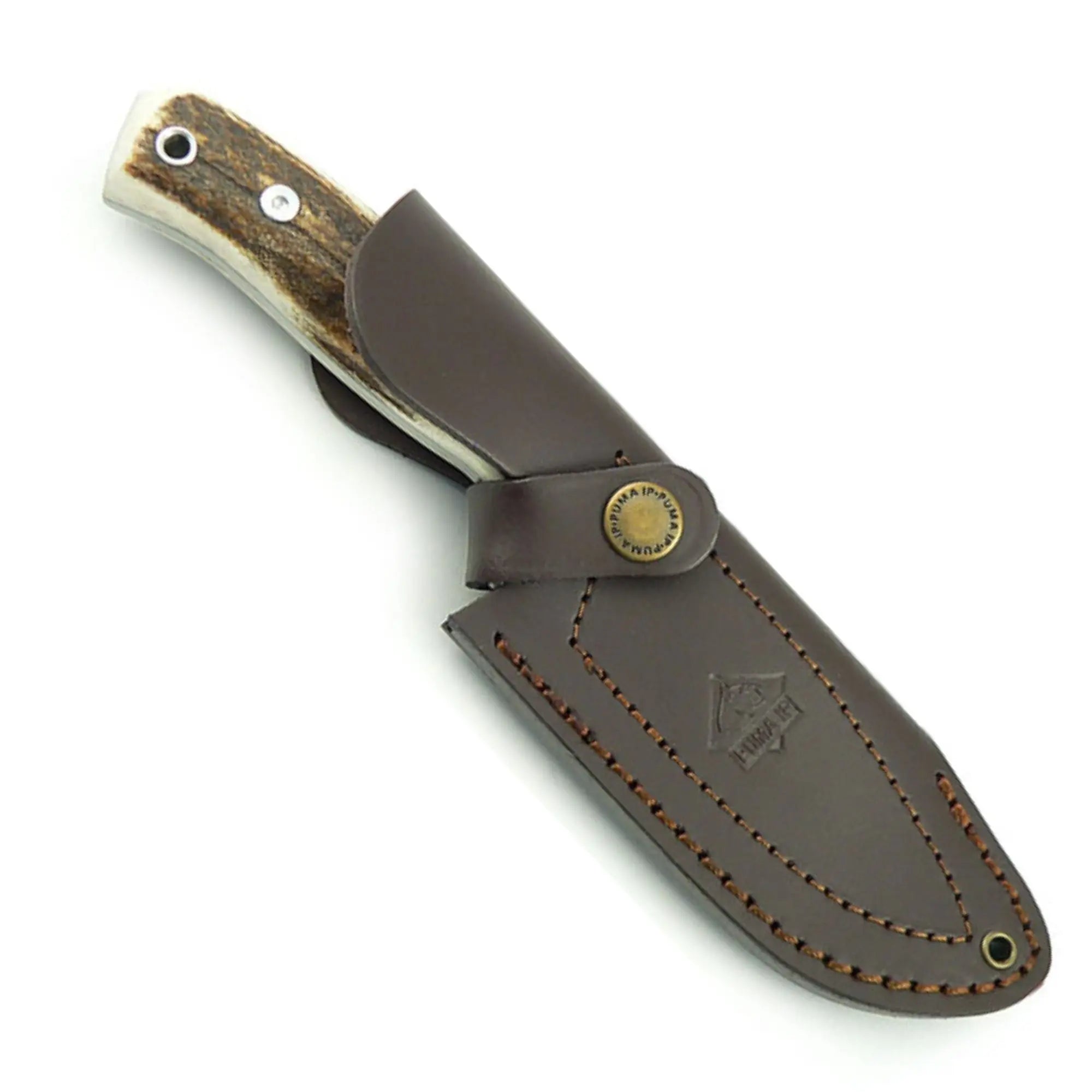puma-ip-cervato-jagdmesser-hirschhorn-stag-kompakt image 3