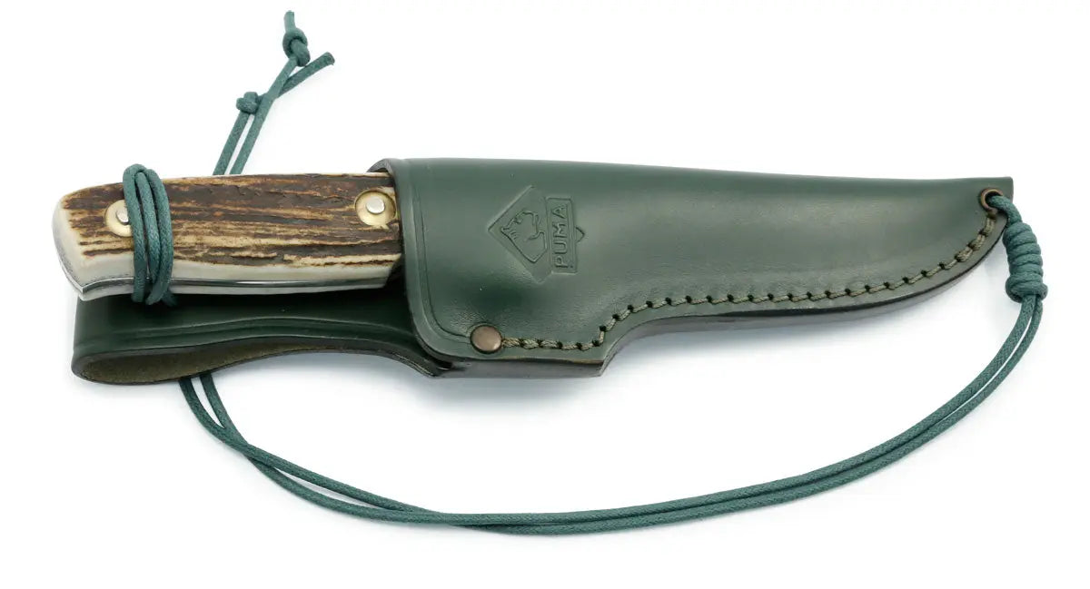 puma-zeus-stag-waidmesser-hirschhorn-feststehend image 3