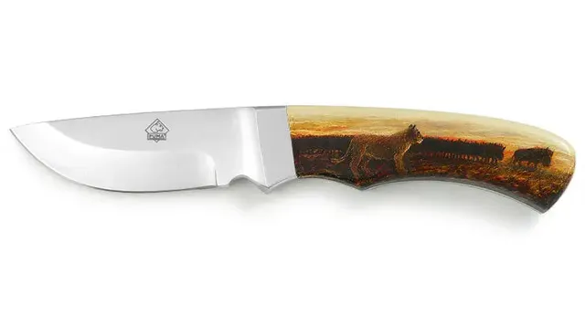 puma-skinmaster-im-auge-des-j-gers-jagdmesser-unikat image 1