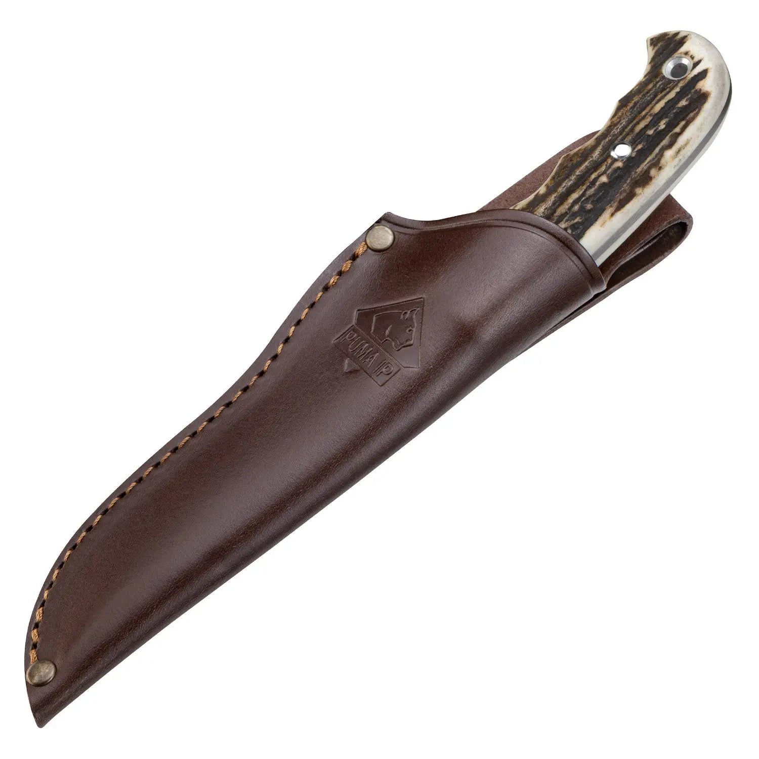 puma-ip-catamount-ii-stag-jagdmesser-hirschhorn-droppoint image 3