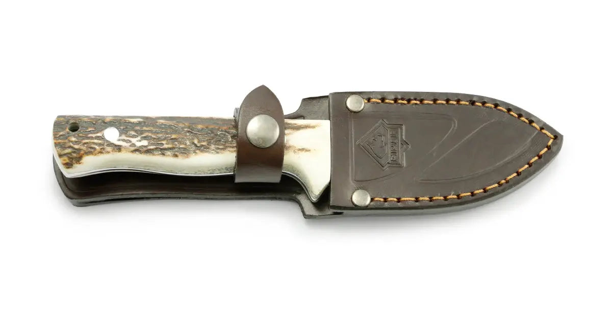 puma-ip-nordic-ii-jagdmesser-stag-8-3-cm-an-58 image 2