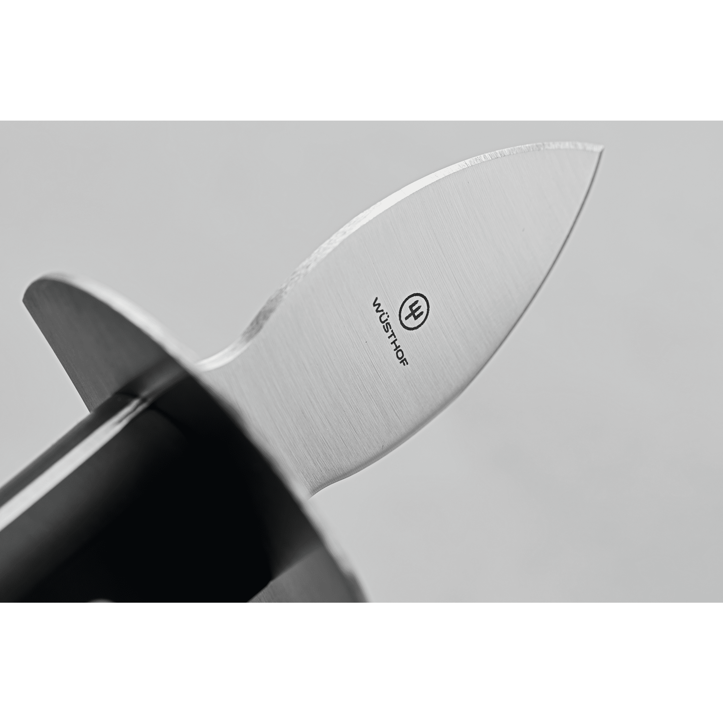 w-sthof-gourmet-seafood-messerset-5-teilig-mit-filetiermesser image 6